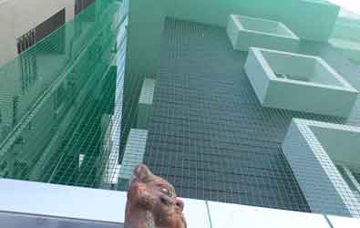 Bird Netting In Hyderabad