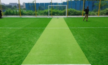 Cricket Nets