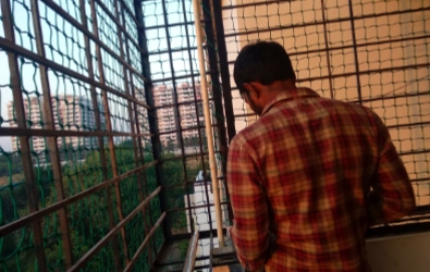 Pigeon Safety Net IN Hyderabad 